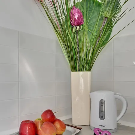 Old Town Korzenna By Downtown *