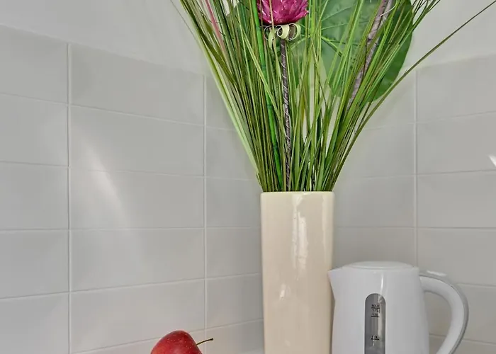 Old Town Korzenna By Downtown *